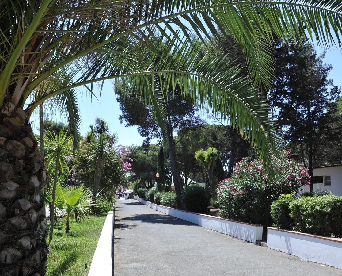 La Serra Holiday Village & Beach Resort Baia Domizia Exterior photo